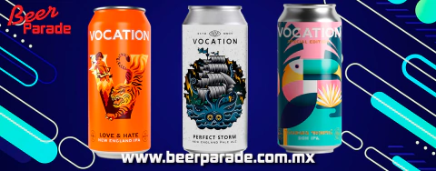 Imagen del carrusel 7